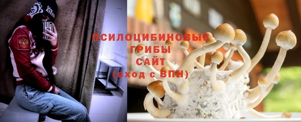 mix Абаза