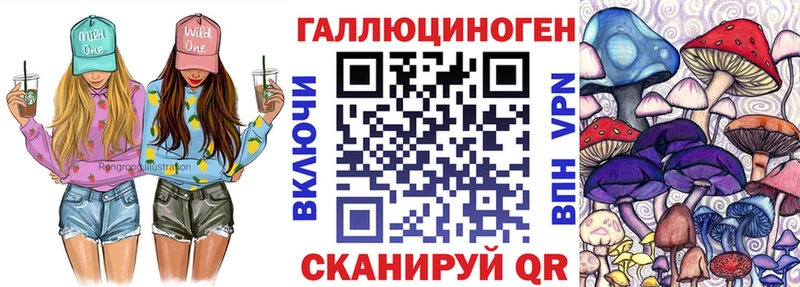 купить   Алдан  Псилоцибиновые грибы Magic Shrooms 
